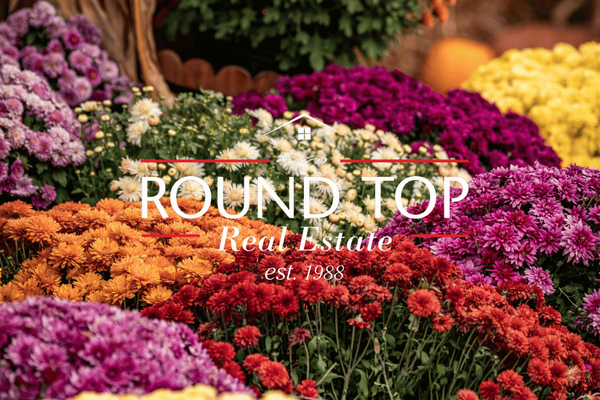 September 2026 Newsletter: Your Guide to the Fall Round Top Antiques & Design Show