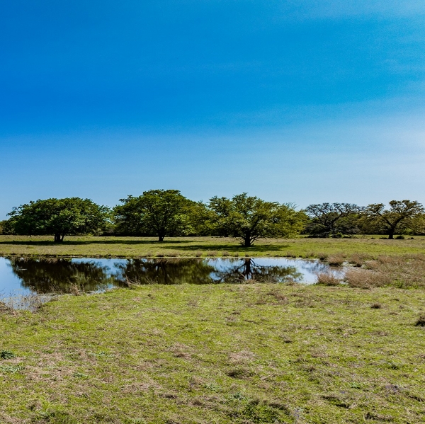 lee county small lake